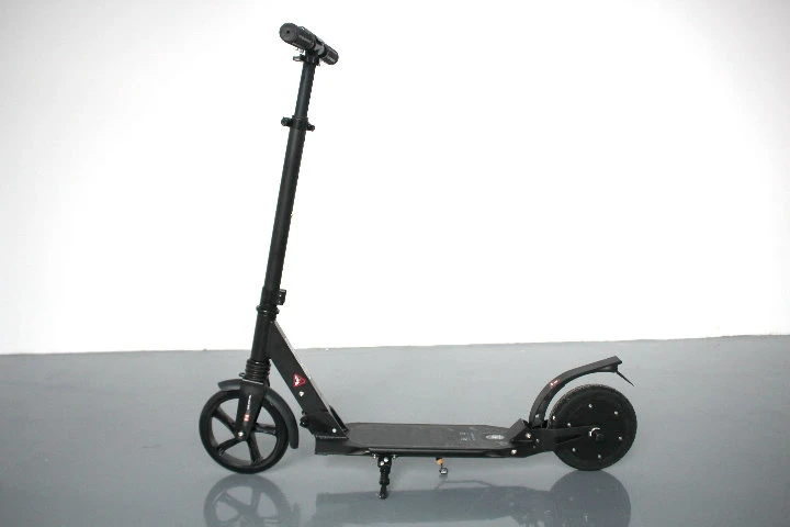 Foldable Scooter Max Loading 100kgs Mini Electric Scooter