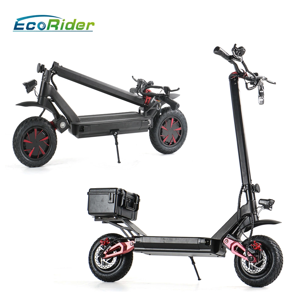 Portable 10-Inch Dual Motor Electric Scooter 1000W 2000W, Electrical Scooters