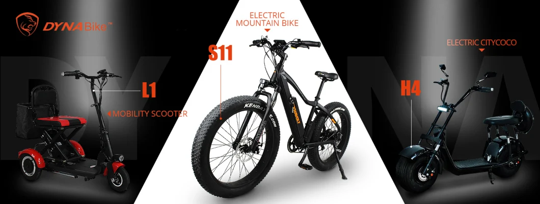 2020 New Design for Disabled Riding 10ah Lithium Battery Mobility Scooters Electric 3 Wheel