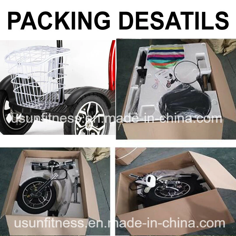 3 Wheels Mobility Adult Scooter Self-Balancing Electric Scooters