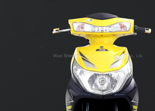 E-Bike / Electric Scooter /Electric Moped Scooter 60V/72V 20ah 800W / 1kw / 2kw