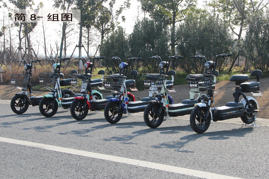 Pedal Assistant Electric Scooter Supplier