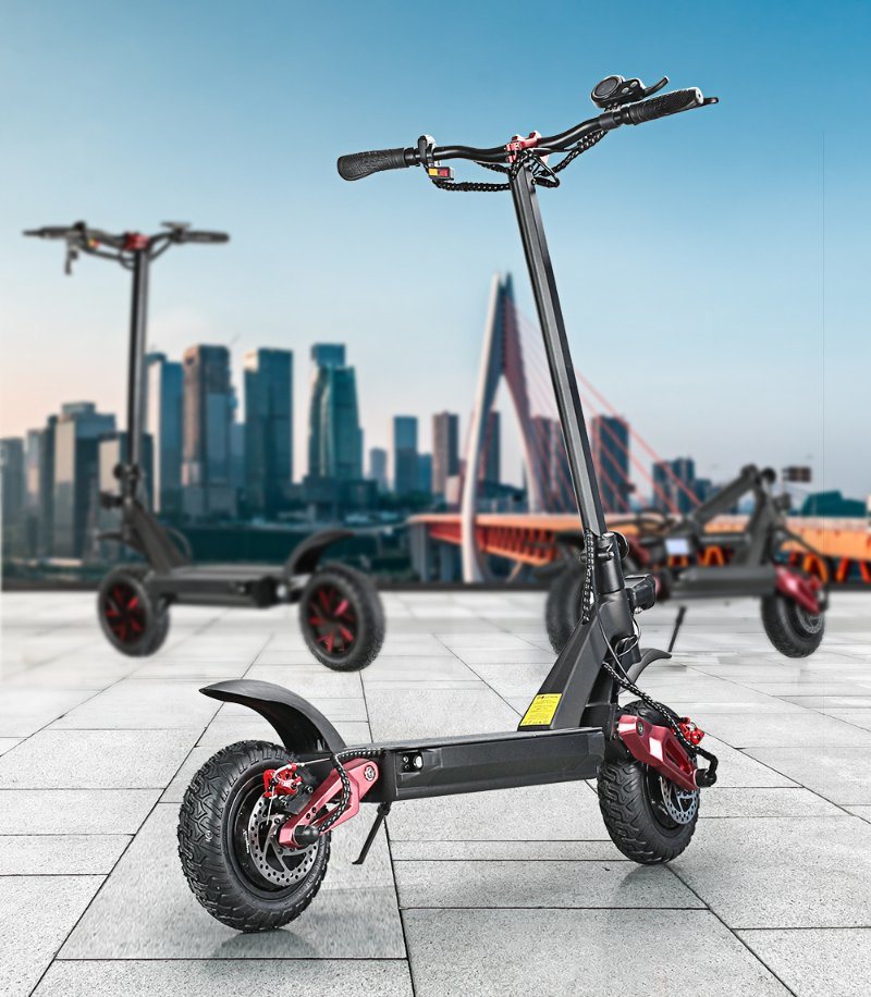 Offroad Tire Ecorider Dual Motor Electric Scooter