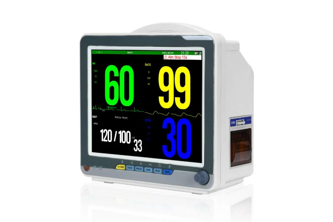 Cheap Multi-Parameter Ambulance NIBP SpO2 ECG Etco2 Patient Monitor