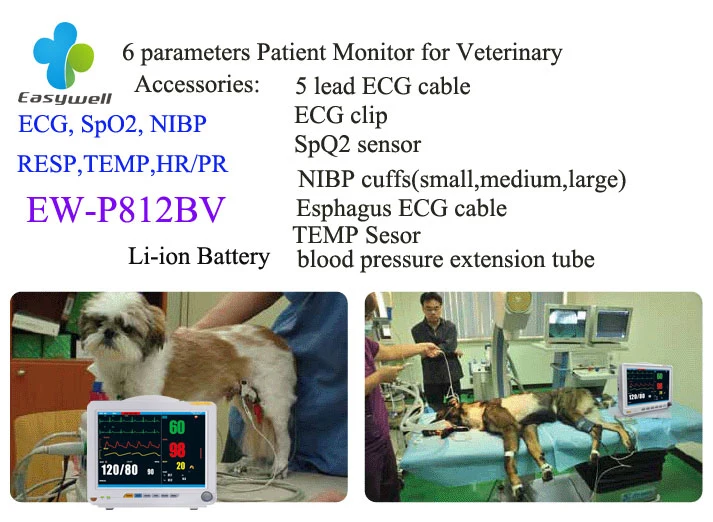 Multi-Parameter Patient Monitor Ew-P812BV for Veterinary Monitoring Use