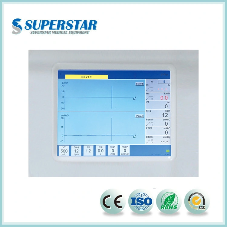 Veterinary Anesthesia Machine with Monitor From China Superstar Dm6a Small Animal Anesthesia Machine with Fsc