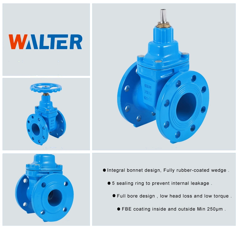 China Manufacturer Flanged Type Cast Iron Soft Seated Flanged Gate Valve Dn200 Pn16
