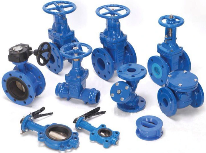 Pipe Fitting BS5163 Dn150 Pn16 Cast Iron Body Double Flange Type Gate Valve