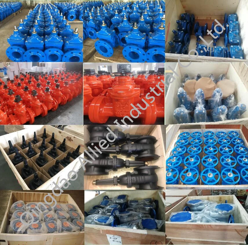 Ductile Iron and Cast Iron Pn16 and Pn10 Flanged End Foot Type Check Valve