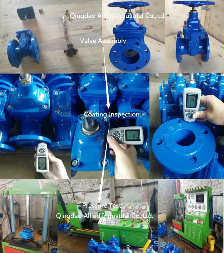 Ductile Iron and Cast Iron Pn16 and Pn10 Flanged End Foot Type Check Valve