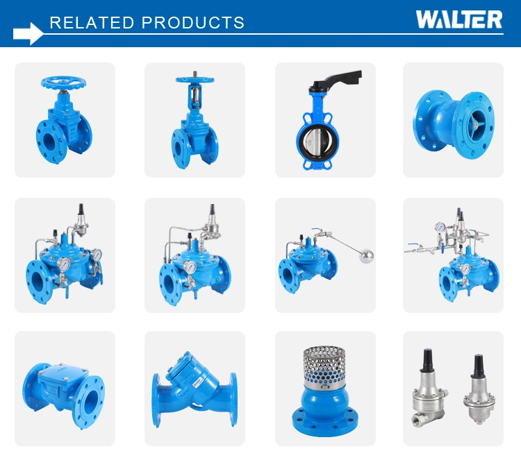 China Manufacturer Flanged Type Cast Iron Soft Seated Flanged Gate Valve Dn200 Pn16