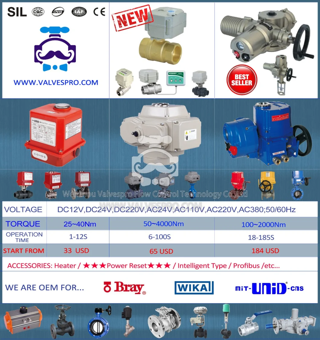 DIN3352-F6 Ductile Iron Cast Iron Flanged Swing Check Valve