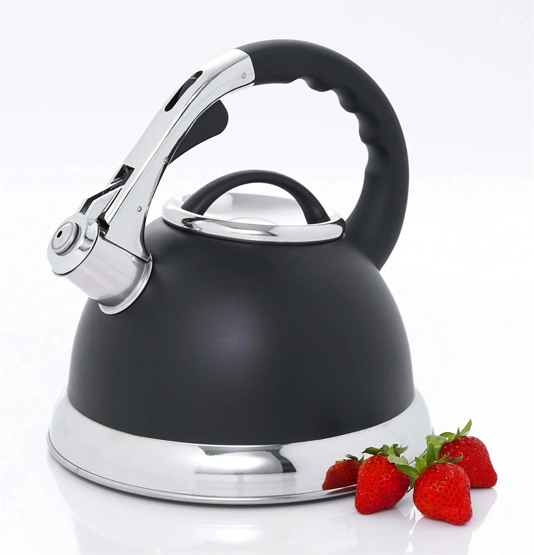 Cordless Travel Outdoor 304 Camping 316 S/S Whistling Kettle Tea Brewing Kettle Stainless Steel