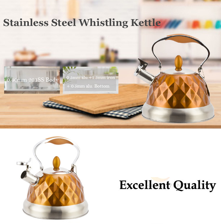 Color Painting 3.0L Stainless Steel Whistle Kettle Tea Kettle Water Kettles