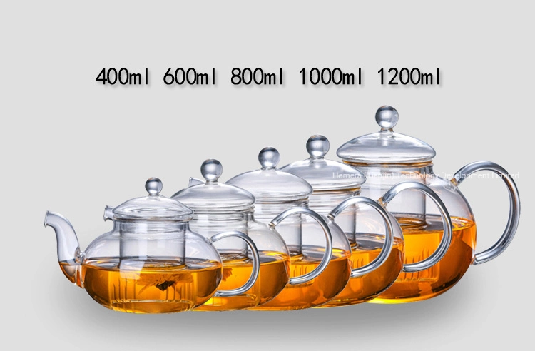 High Borosilicate Glass Teapot Set with Glass Filter, 1L Capacity Heart Resistant Glass Tea Kettle Pot