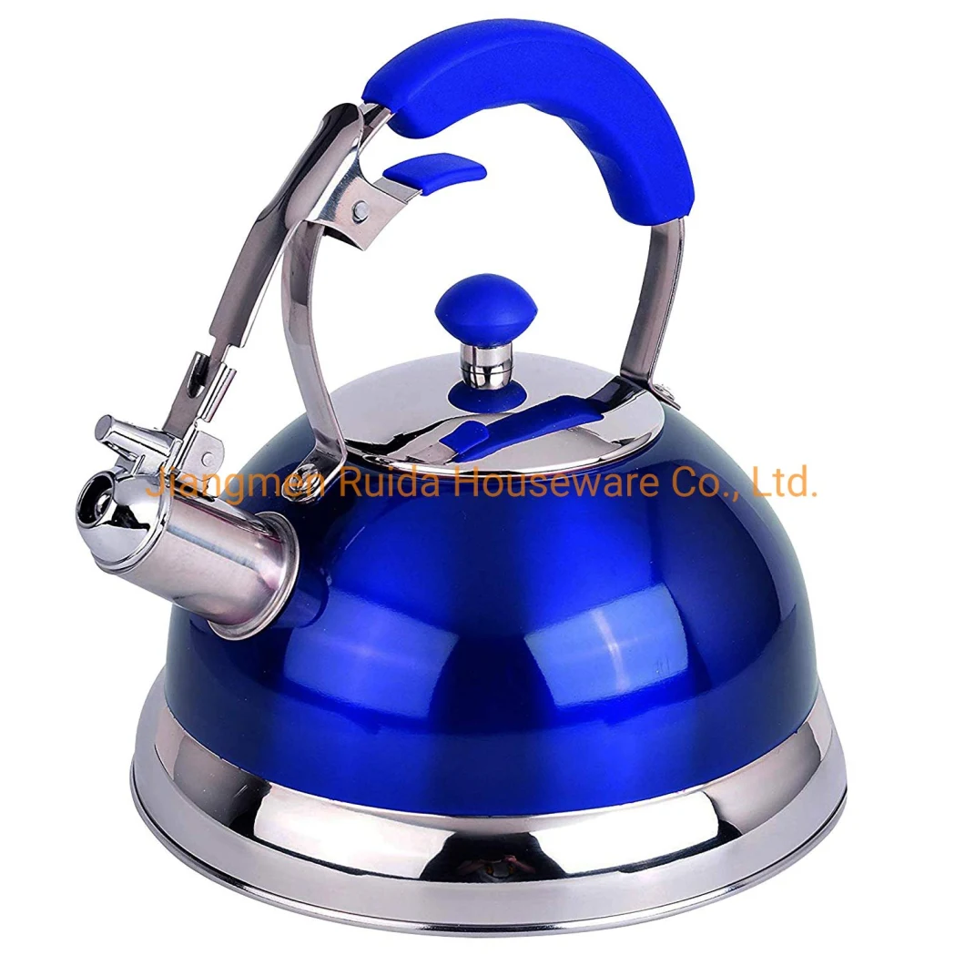 Simple Household Stainless Steel Whistling Kettle Tea Kettle with Black Hesitant Painting