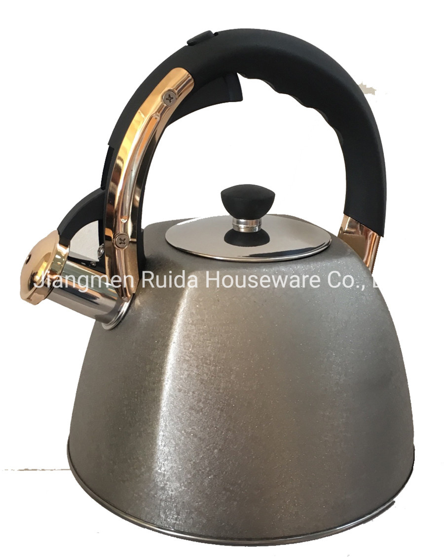 Series Color Painting Kettles 3.0 Liter Stainless Steel Whistling Tea Pot in Soft Touch Handles