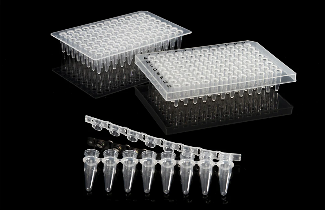 Nice Quality 1000UL Material Pipette Tips with Filter