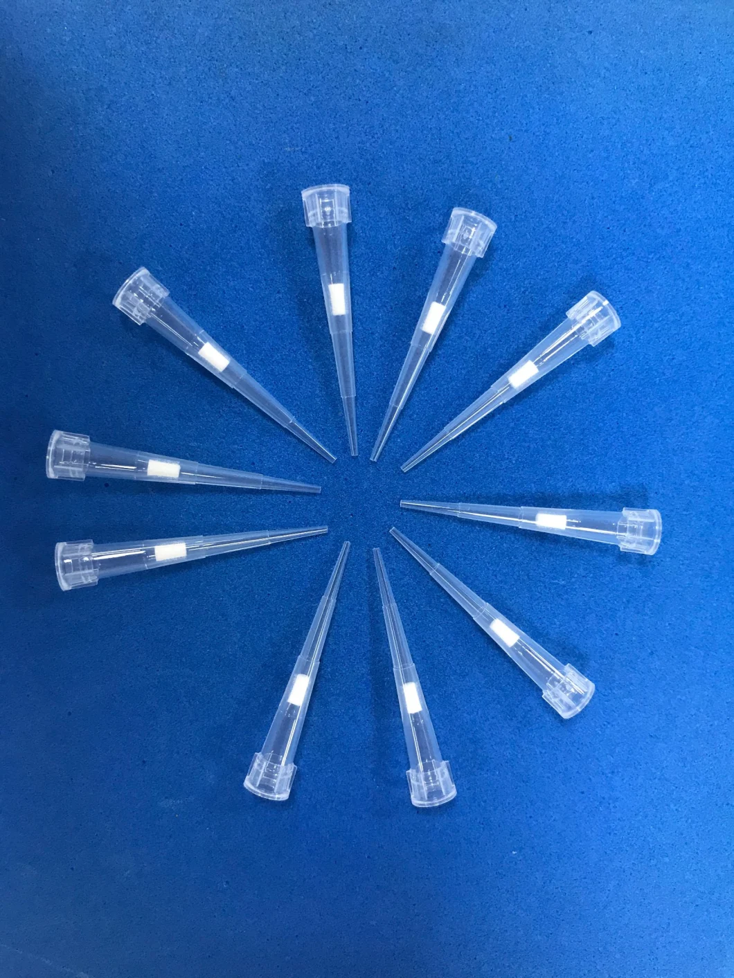 Hot Sale Filter Pipette Tips for Nucleic Acid Testing (10UL 20UL 100UL 200UL 1000UL)