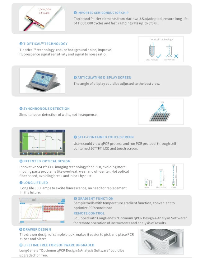 PCR Thermal Cycler Real-Time PCR Machine & Rt PCR Detection System/Analyzer/Equipment Price