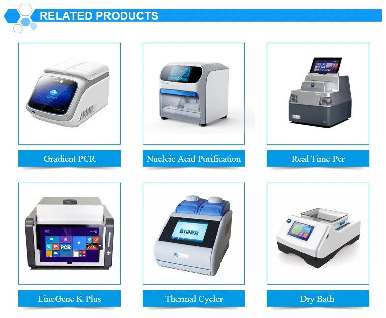 Bioer Real Time PCR Gentier 48r Real Time Quantitative PCR