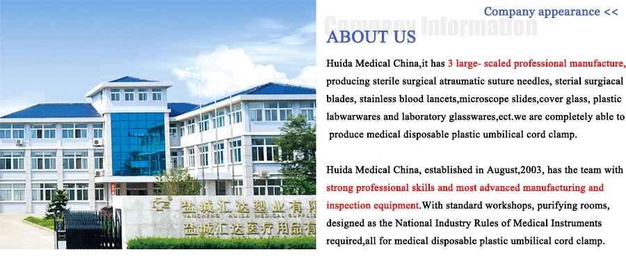 Sterile DNA Rna Free Clear Pipette Filter Tips for Laboratory