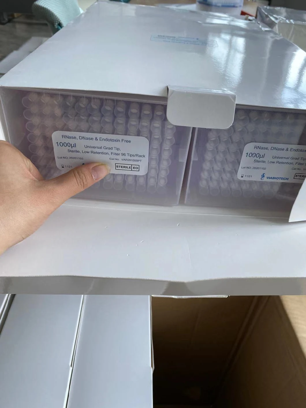 Free From Dnase Rnase Pipette Tips with Filter 10UL Transparent