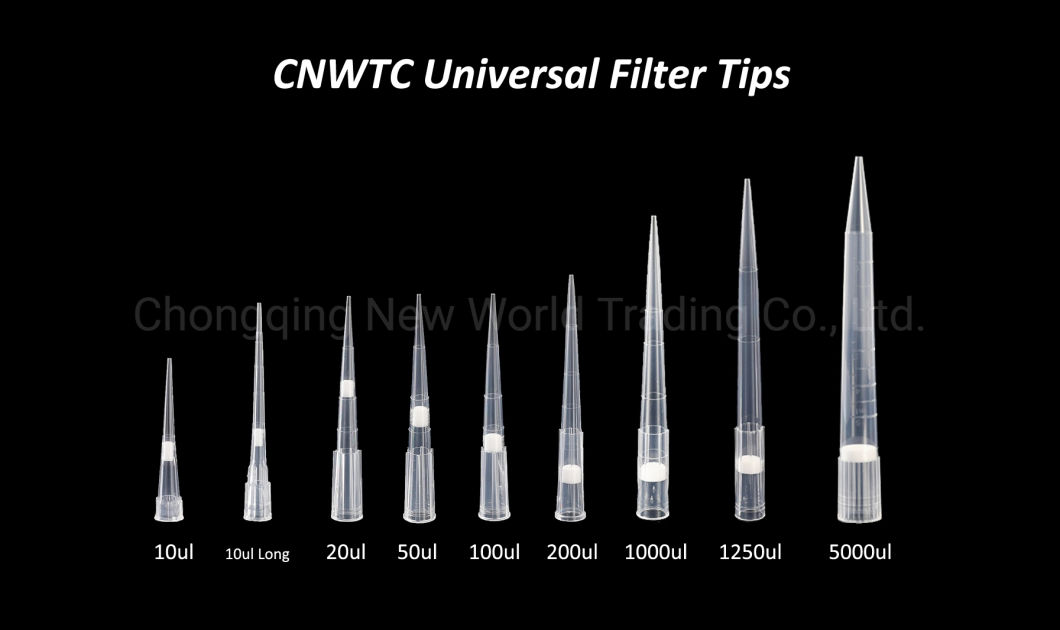 Dnase Rnase Free 10UL/200UL/1000UL Pipette Tip with Filter