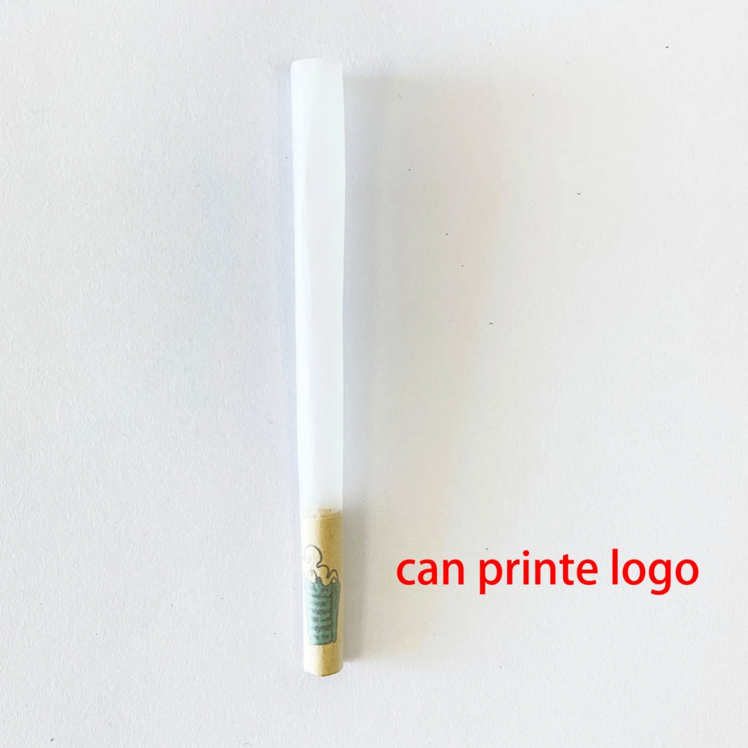 Hotvsale Pre-Rolled Cone with Filter Tips Custom Logo Cone Smoking Rolling Paper with Filter Tips