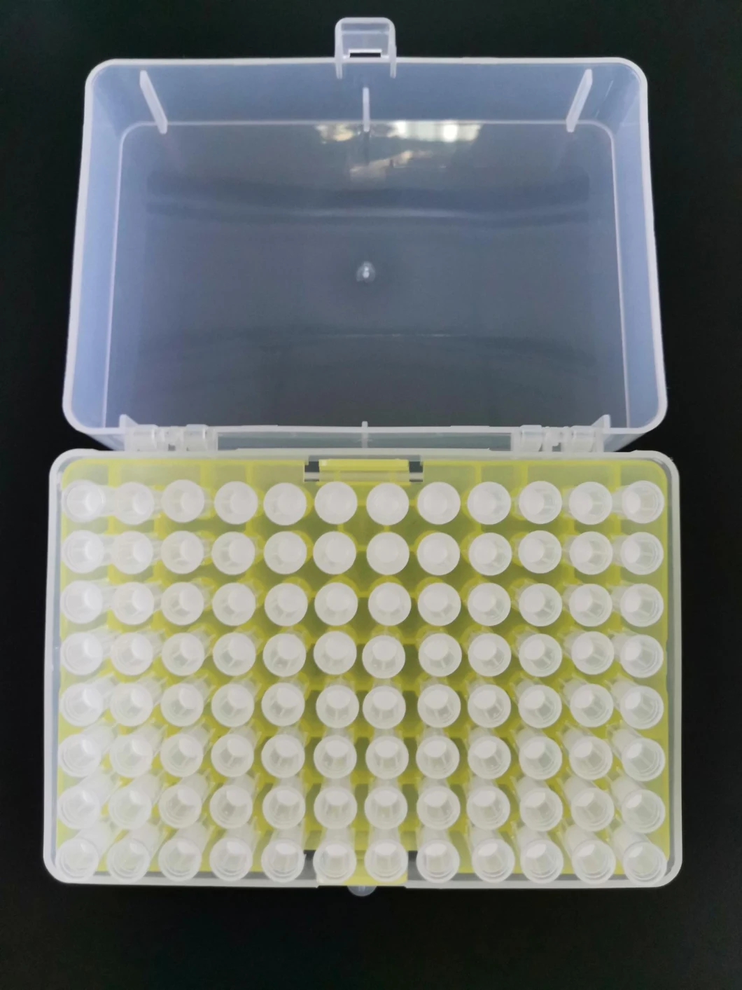Disposable 10UL 20UL 100UL 200UL Filtered Sterilized Pipette Tips