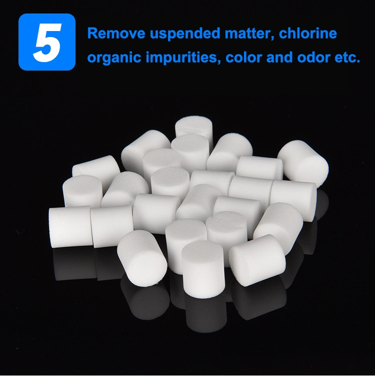 Factory OEM Sintered Porous Polyethylene PE Filter for Filtered Pipette Tips