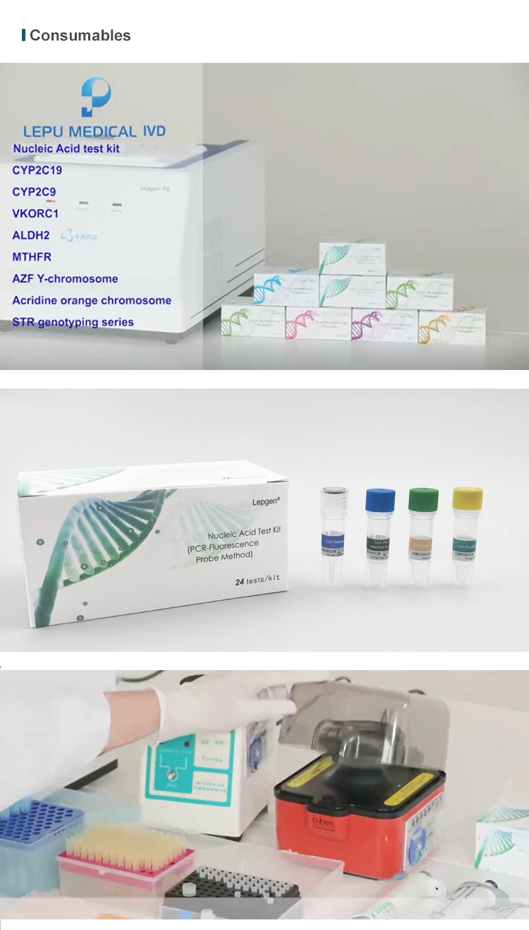 PCR Kits Teste PCR Test Real-Time Device Real Time Machine