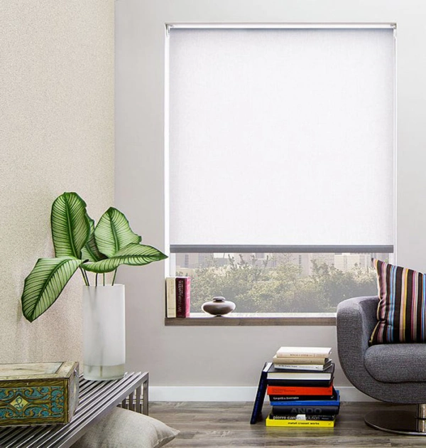 Printed Curtain for Living Room Blockout Roller Blinds