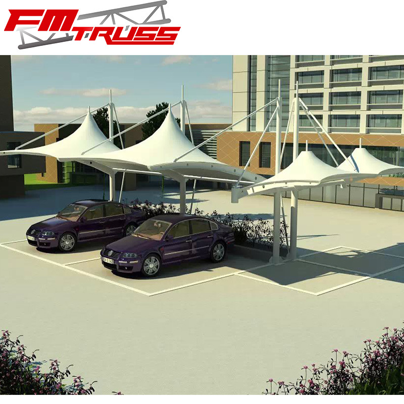 5.5X10m Customized Carport Tents Car Packing Tents for 4cars