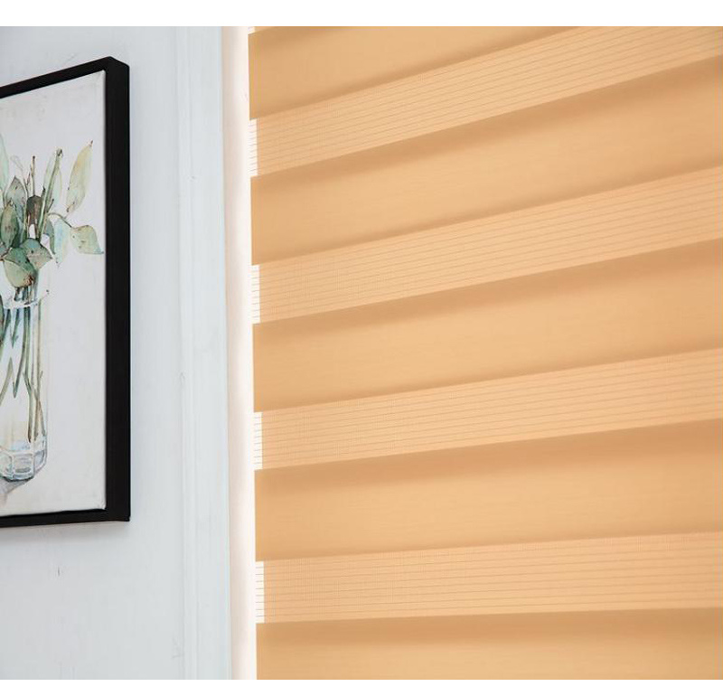 Zebra Roller Blinds with Valance Double Layer Zebra Fabric Curtains