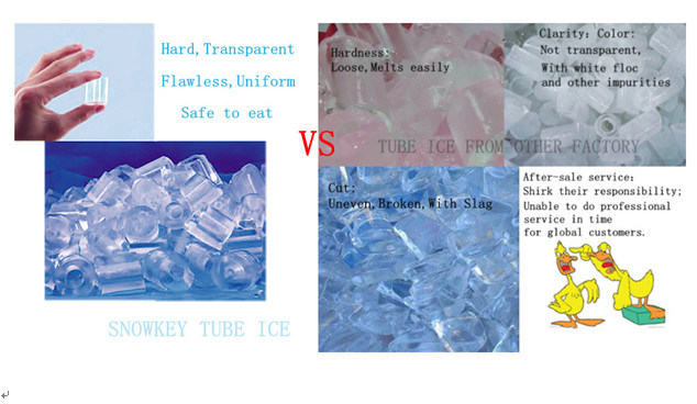 Snowkey 3 Tons/Day Sanitary Crystal Ice Tube Machine for Malaysia Market