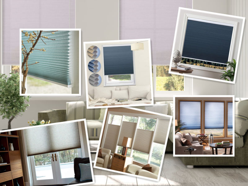 Sound Absorbing Thermal Window Honeycomb Blinds Cordless Cellular Shade Fabric Blinds for Living Room