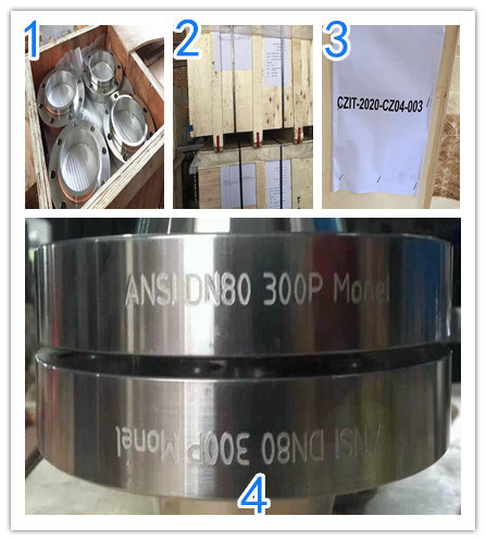 Duplex Stainless Steel Forged 2205 Blind S31803 Flange Stainless Steel Blind Flange
