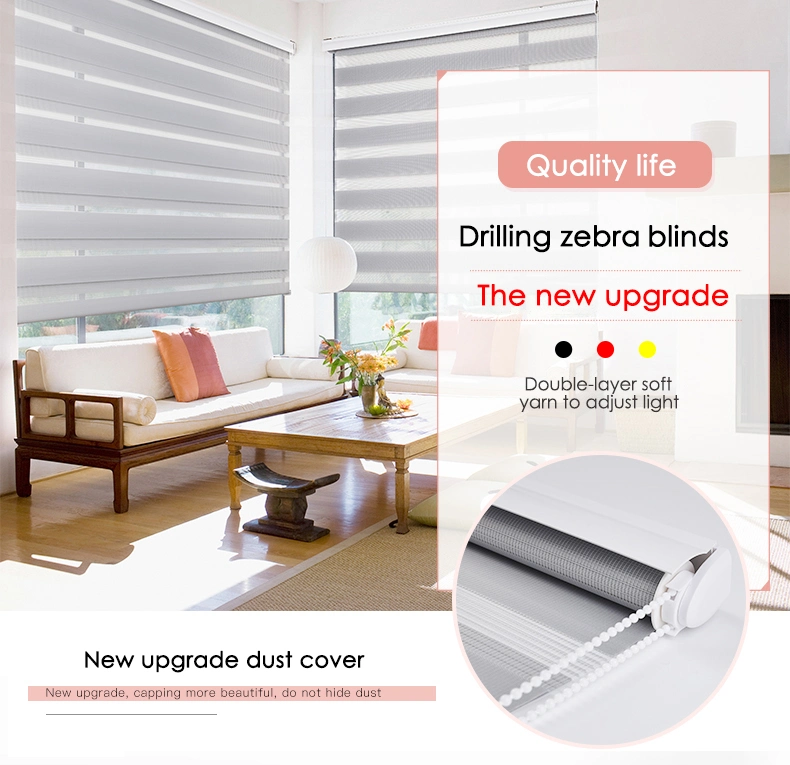 Light Adjustable Zebra Curtains, Easy Fix Double Roller Window Blinds