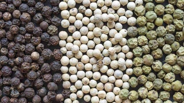 Organic Spices Supplier / Chinese Black Pepper Supplier