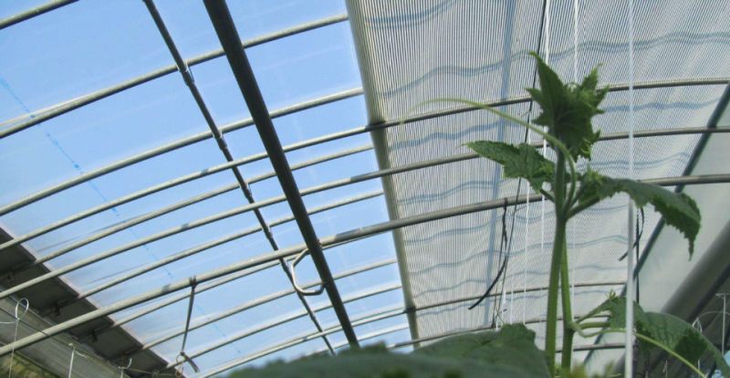 Climate Shade Screen Light Diffusion Screen Shade Net for Greenhouse