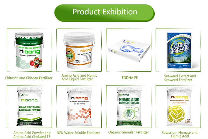 Singapore Amino Acid 100% Organic Fertilizer, Bio Organic Fertilizer for Malaysia