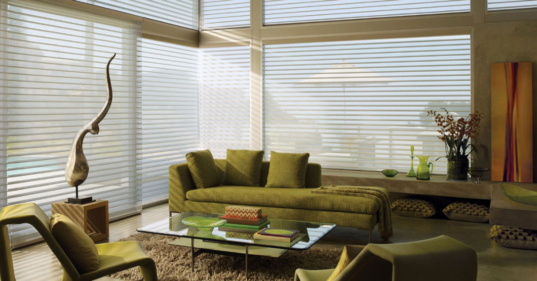 China Supplier Roller Blinds Polyester Blackout Window Manual Shangri-La Blinds