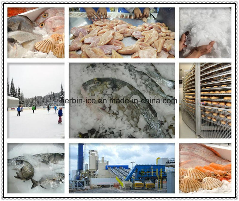 Commercial Flake Ice Machine 40tons/Day for Fishery/Meat/Chicken