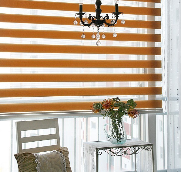 Printed Zebra Blinds Printed Duo Blinds / Rainbow /Duo Shade Fabrics Combi Blinds / Duo Window Shades