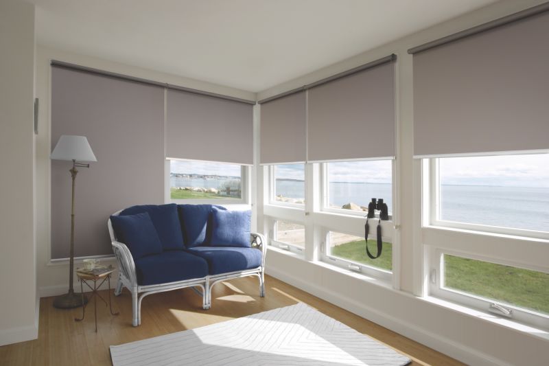 Manual Modern Style Day Night Roller Blinds