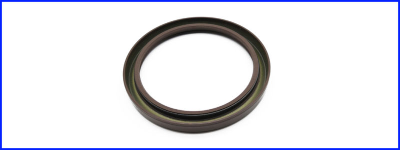 Spring Loaded NBR Lips Oil Seals Htcl