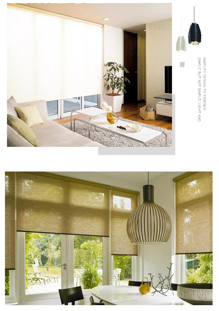 Manual Modern Style Day Night Roller Blinds & Fix Roller Shades