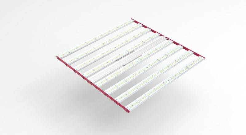 Dimming 1000W Lm301b for Hydroponic LED Lighting for Hydroponic System