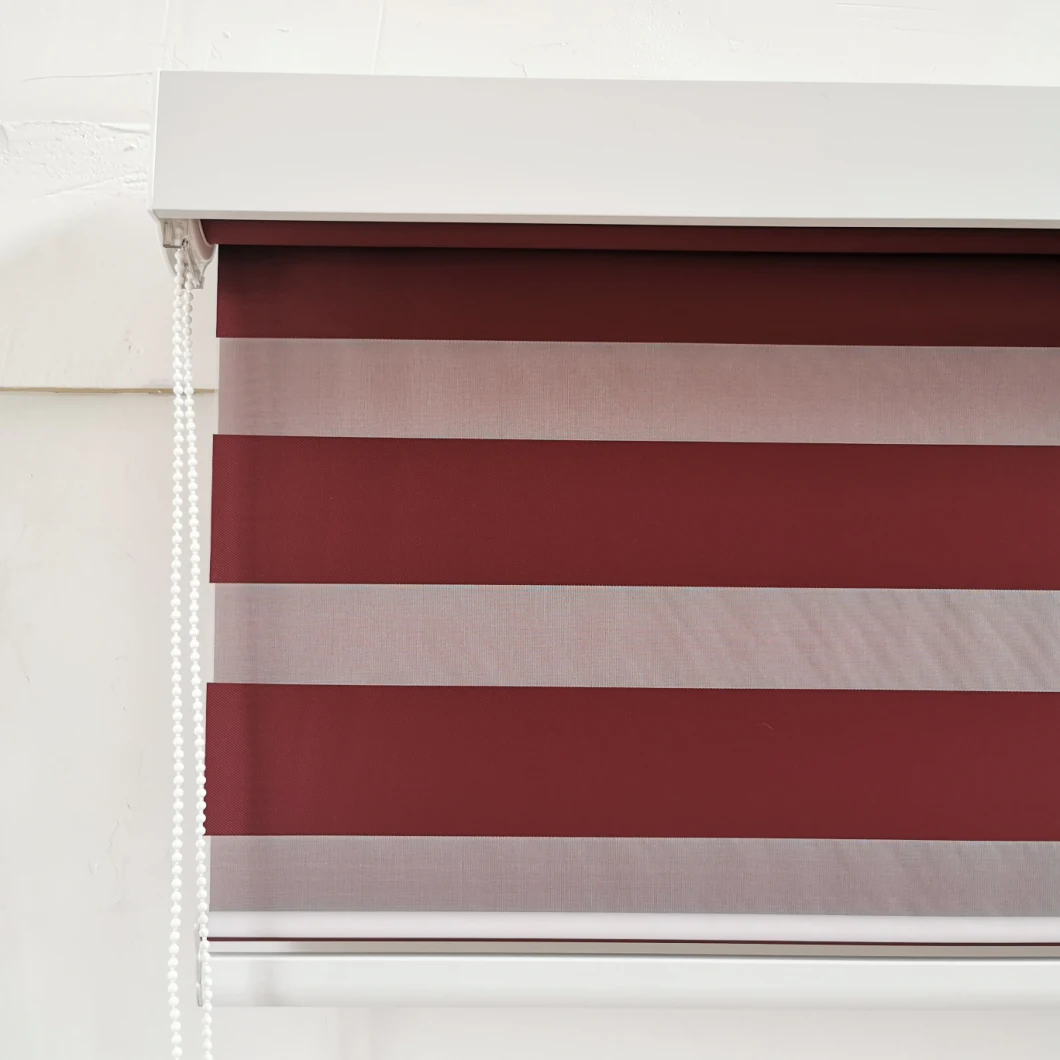 American Quality Big Size Anti-UV Manual Zebra Roller Blinds Indoor Double Roller Shades